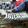Custom Coolant Hose Pipe Solutions Designed By Imperial Auto