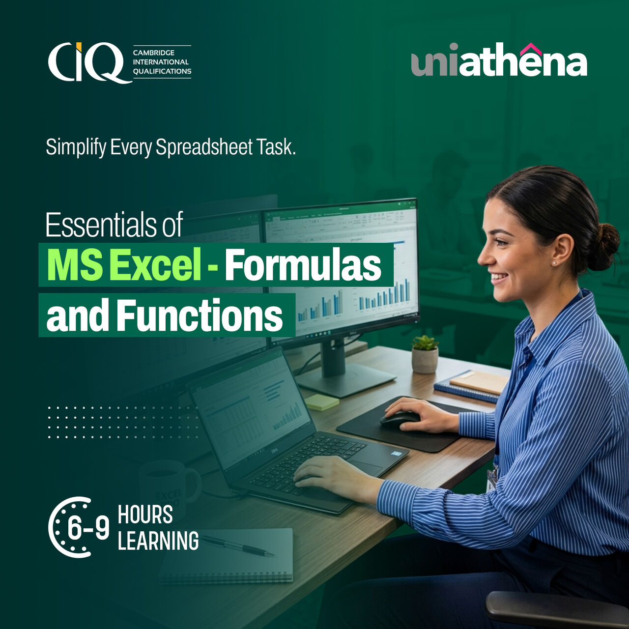 Faisalabad, Lessons Offered, Excel Formulas And Functions For Beginners | UniAthena