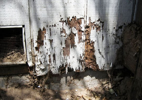 New York, Household, Pasadena Termite Inspection