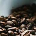 A Section Of Coffee Lovers Are Rooting For Organic Light Roast Coffee In Toronto