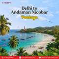 Delhi To Andaman Nicobar Package