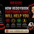 How ReddyBook Customer Care Will Help You