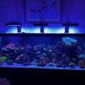 JK-Fish | Custom Aquarium Design And Installation In Northern NJ
