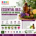 Trusted Exporter In India | Leading Export Company In India &ndash; GLEE IMPEX
