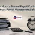 How Much Is Manual Payroll Costing You Without Payroll Management Software?