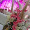 Best Hotel Near Noida City Centre | Golden Tree Hotel
