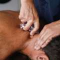 Acupuncture Treatment & Wellness Center In Frederick, MD | Expert Acupuncture Services