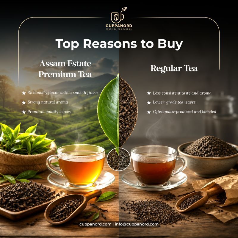 Noida, Business, Buy Assam Estate Premium Tea: Why Is It The Best Choice For Real Tea Lovers?