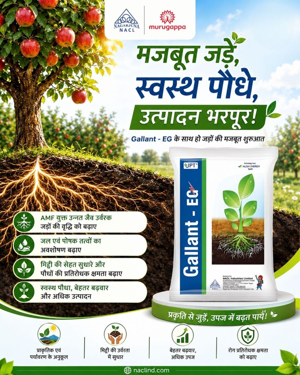Hyderabad, Farm & Garden, INR 500,  NACL Industries Among Top Agrochemical Companies | Pesticides