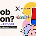 Jacob Elmon: Co-Founder Of ElmonX And Head Of VeVe Stickerverse