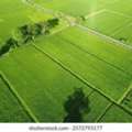 1,  1850 Sq. Meter,  Skymarx The Kings Land Neemrana Near RIICO Industrial Area