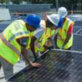 Solar Plant Labors