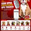INR 5500,  Trusted Spy Camera Dealers In Rajiv Chowk For Smart Pet GPS Tracking Solutions
