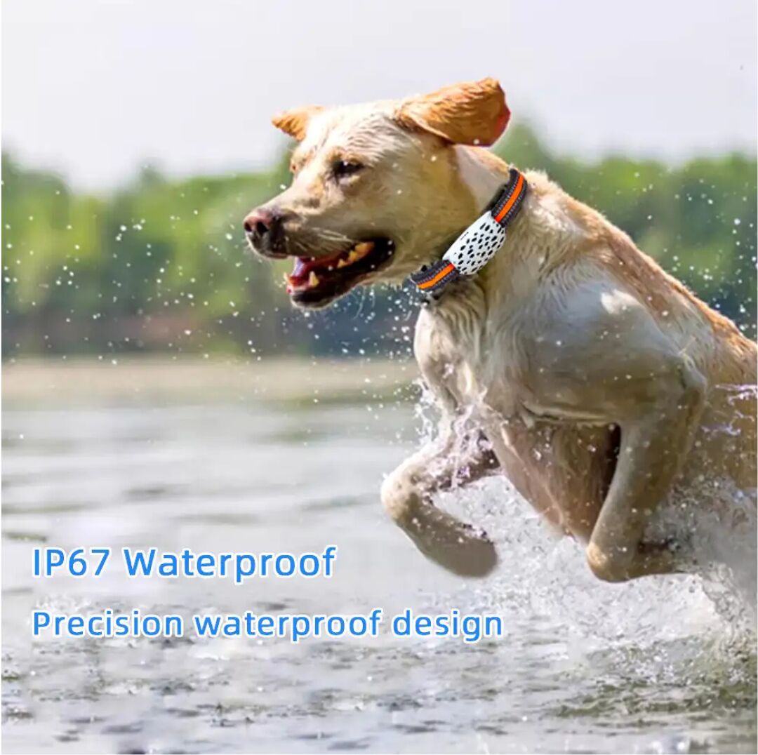 New Delhi, Electronics, INR 5500,  Trusted Spy Camera Dealers In Rajiv Chowk For Smart Pet GPS Tracking Solutions