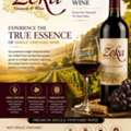 What Makes A Single Vineyard Wine Truly Stand Out?