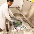 Professional Contents Restoration Training By Fireline&trade;