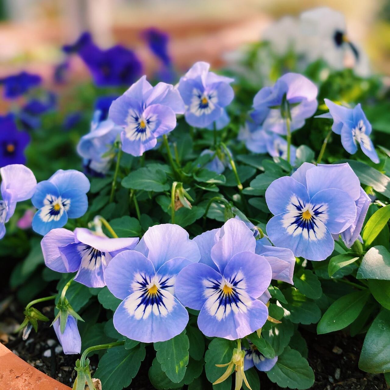New York, Business, Residential Landscape Contractor Orange | Expert Yard Design