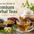 GBP 5,  Buy Premium Soursop Leaves Tea