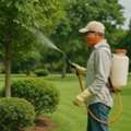 Expert Tree And Shrub Care Manatee County For Healthy Landscapes