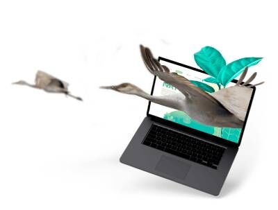 London, Business, Website Design Wellingborough For Modern Business Websites
