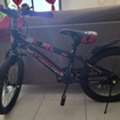 BHD 12, BRAND NEW CYCLE