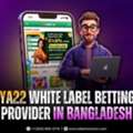 Krikya22 White Label Betting Website Provider In Bangladesh | Grow Your Sportsbook With Bd