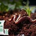 INR 300,  Benefits Of Vermicompost | Uses & Advantages Of Vermicomposting