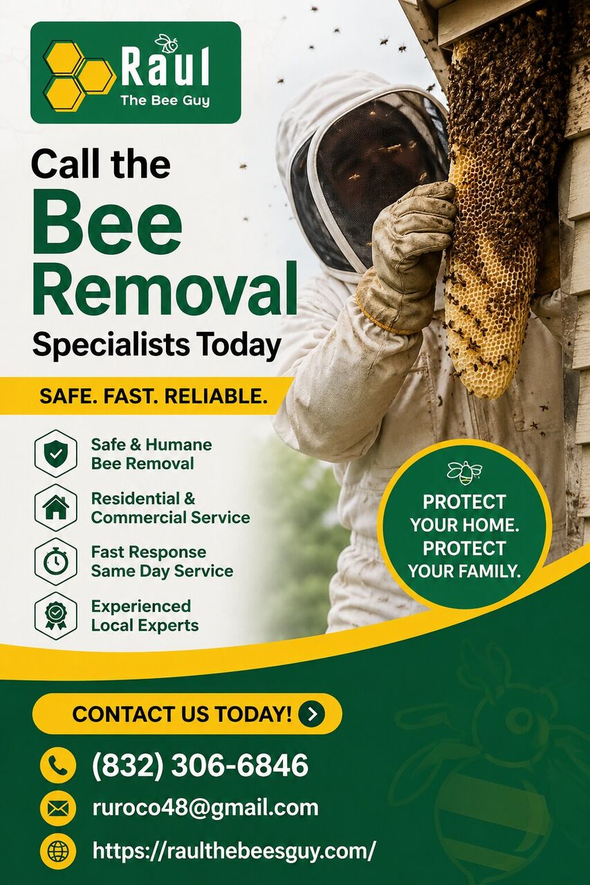 New York, Pest Control, Call The Bee Removal Specialists Today