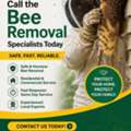 Call The Bee Removal Specialists Today