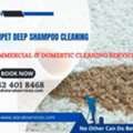 Sofa Carpet Mattress & Curtains Shampoo Cleaning Services In UAE
