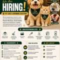 PET CARE & GROOMING ASSISTANT