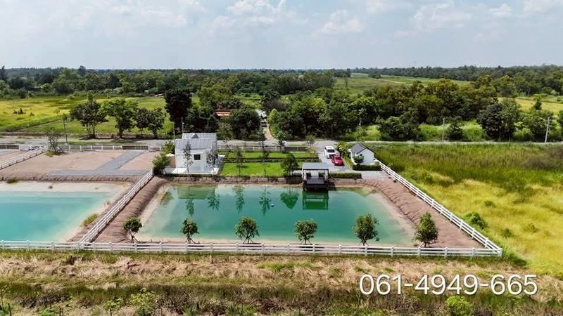 Bangkok, Real Estate For Sale, THB 4500000,  2 BR,  580 Sq. Feet,  Beautiful House For Sale Near Wat Pa Khlong 15, Land With 2 Houses, Khlong 15 Tree