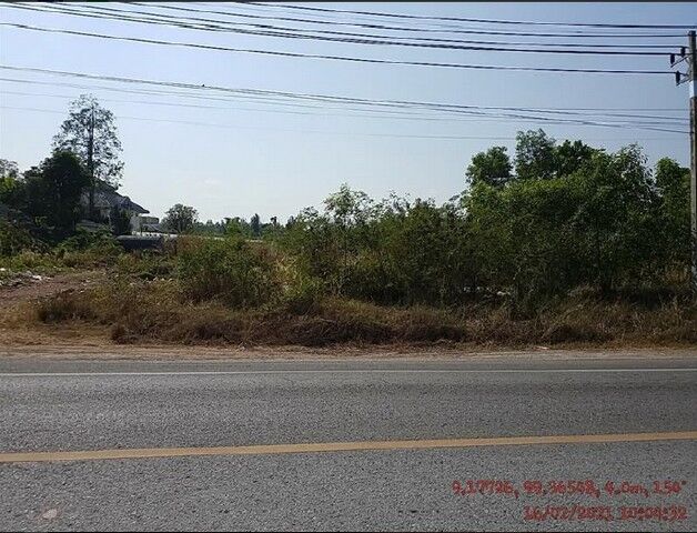Bangkok, Real Estate For Sale, THB 34000000,  6 BR,  2611 Sq. Feet,  Empty Land For Sale Surat Thani-Pak Nam Pi Road, Bang Kung Subdistrict, Mueang Surat