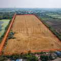 THB 75592000,  6 BR,  13744 Sq. Feet,  Urgent Sale, Large Piece Of Land, 34-1-44 Rai, Sai Noi District, Nonthaburi Province,