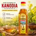 INR 250,  Kanodia Mustard Oil &ndash; Traditional Flavor For Everyday Cooking