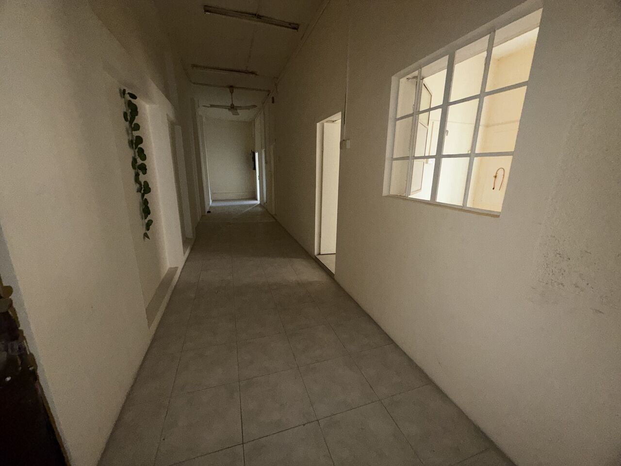 Salmaniya, Apartments, Flats, Houses & Villas, BHD 125/month,  2 BR,  2 Bedroom Flat For Rent Without Ewa
