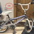 SAR 150,  Girl Cycle