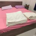 SAR 1150,  King Bed With Comfy Mattress