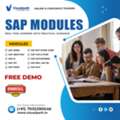 SAP Modules With A Free Live Demo By Visualpath