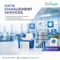 Achieve Greater Data Accuracy With EnFuse Solutions&rsquo; Enterprise Data Management Services