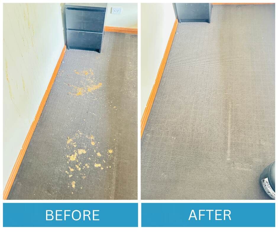 Sydney, Cleaning, Find Upfront Pricing At Carpet Cleaning Specialist Adelaide