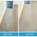 Find Upfront Pricing At Carpet Cleaning Specialist Adelaide