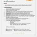 Site Engineer