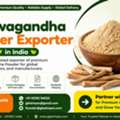 Ashwagandha Powder Exporter In India | Premium Quality Herbal Powder Supplier | GLEE IMPEX