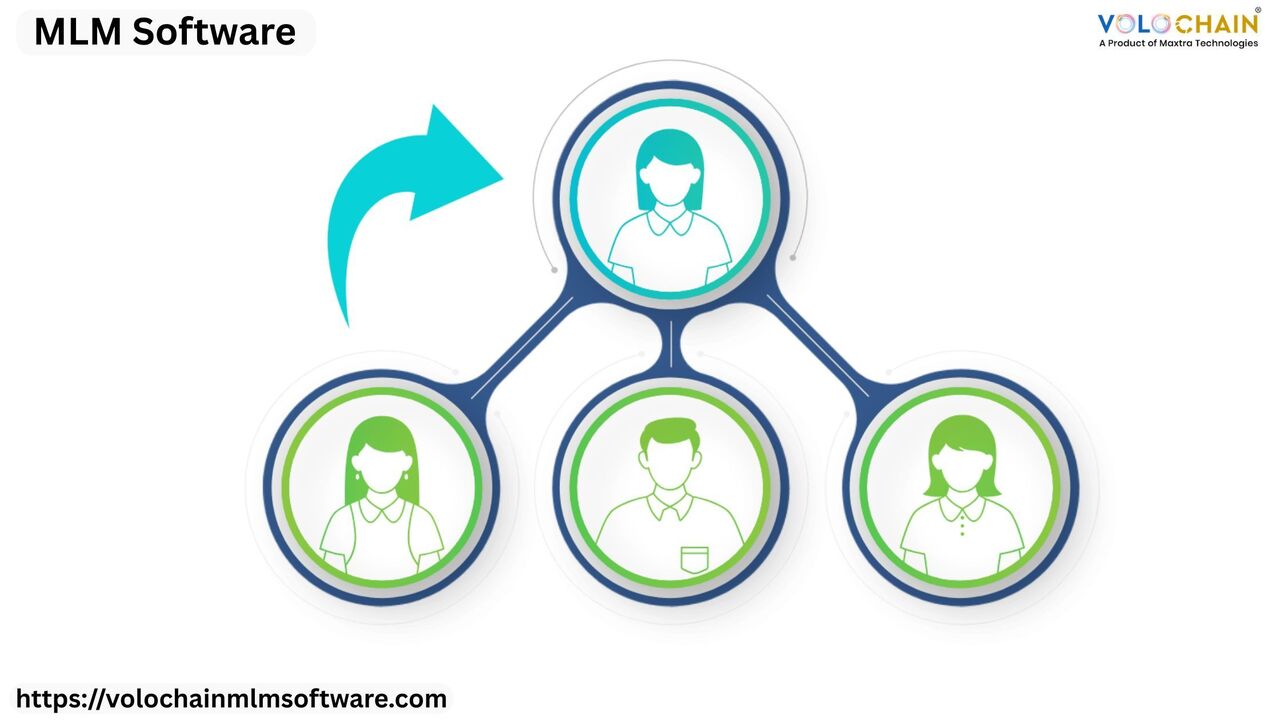 Noida, Software Development, Free MLM Software Demo For Better Business Expansion