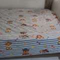 BHD 22, Double Cot With Matress Size 150/200
