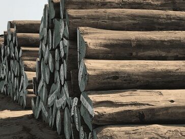 Mumbai, Furniture, INR 10,  Gandhidham Wood Supplier