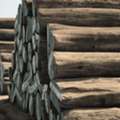INR 10,  Gandhidham Wood Supplier