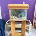 SAR 160,  Fish Tank And Glass Table