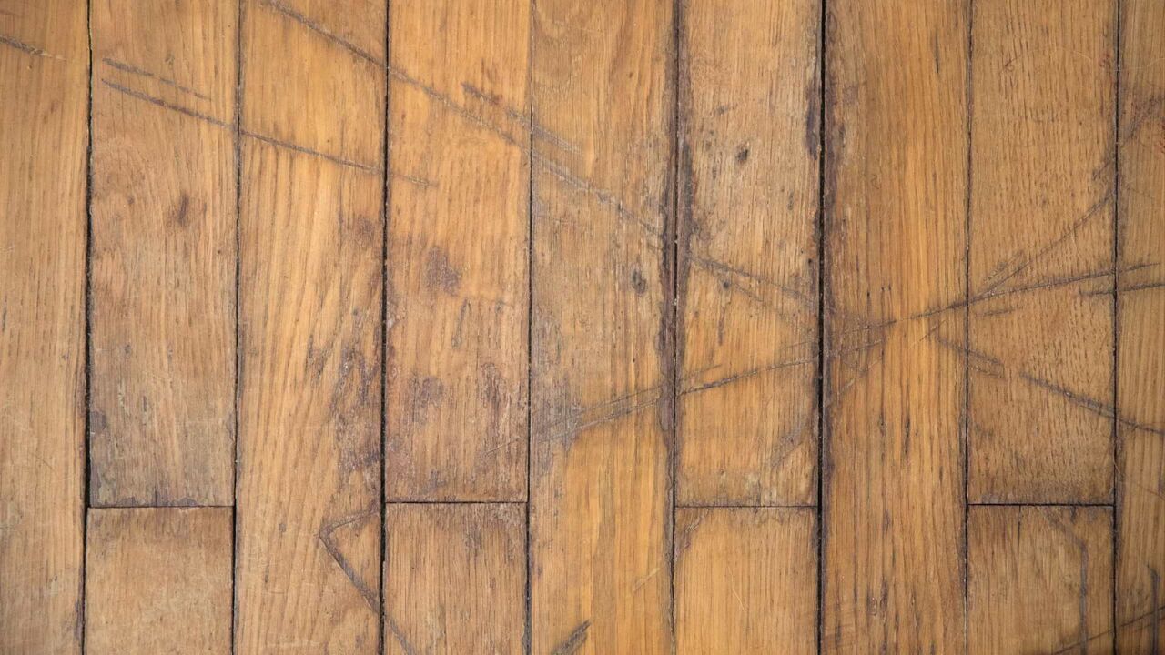 New York, Real Estate, Certified Flooring Inspectors In Alaska